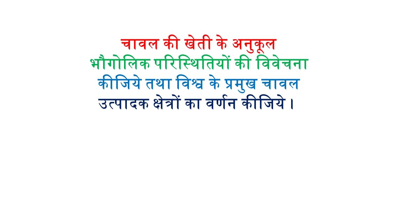 चावल की खेती के अनुकूल भौगोलिक परिस्थितियों की विवेचना कीजिये तथा विश्व के प्रमुख चावल उत्पादक क्षेत्रों का वर्णन कीजिये । 