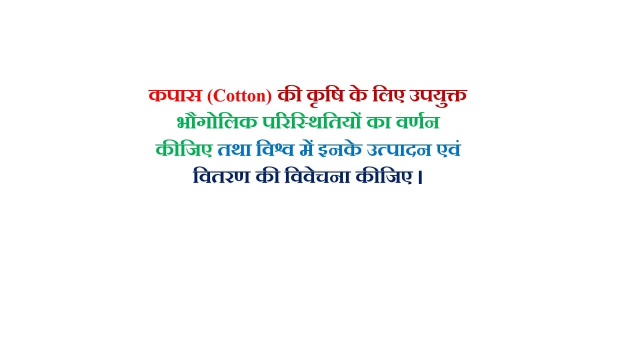 कपास (Cotton) की कृषि के लिए उपयुक्त भौगोलिक परिस्थितियों का वर्णन कीजिए तथा विश्व में इनके उत्पादन एवं वितरण की विवेचना कीजिए ।