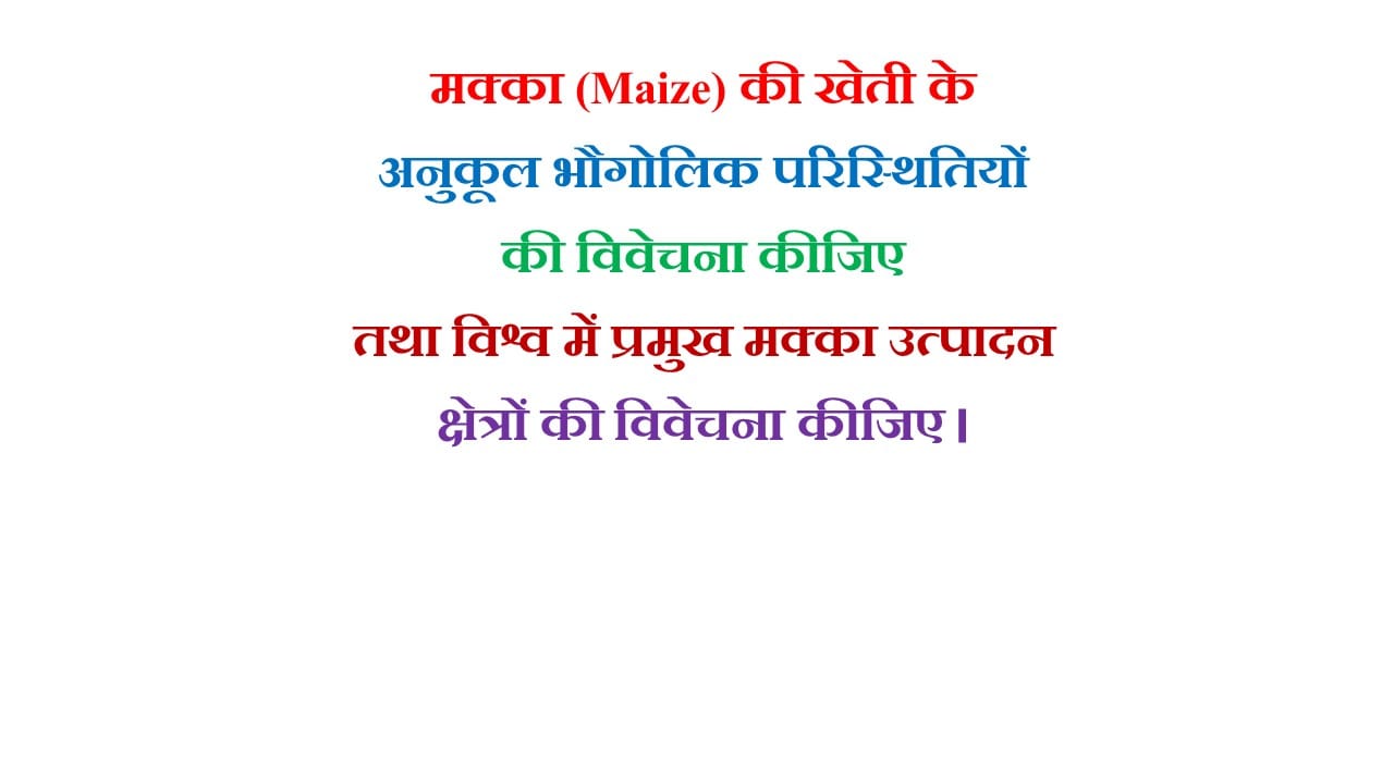 मक्का (Maize) की खेती के अनुकूल भौगोलिक परिस्थितियों की विवेचना कीजिए तथा विश्व में प्रमुख मक्का उत्पादन क्षेत्रों की विवेचना कीजिए ।