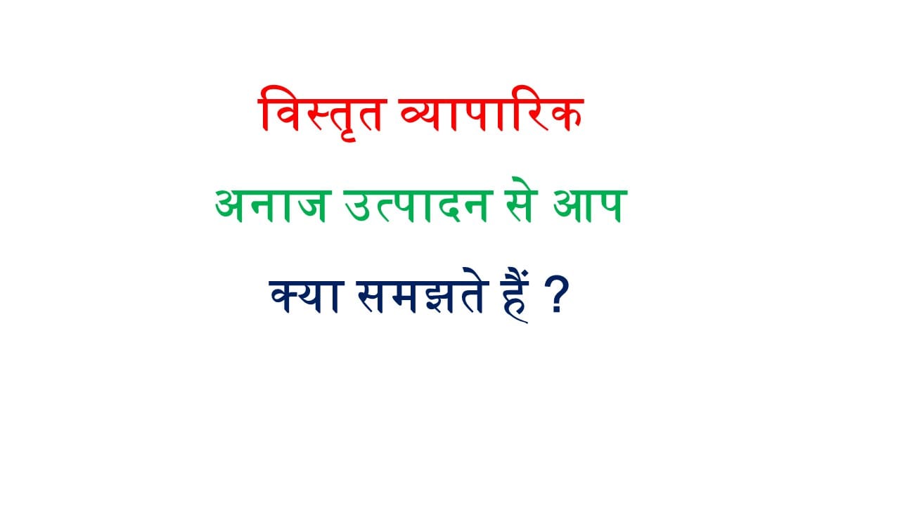 विस्तृत व्यापारिक अनाज उत्पादन से आप क्या समझते हैं ?