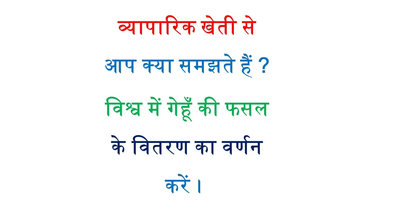 व्यापारिक खेती से आप क्या समझते हैं ? विश्व में गेहूँ की फसल के वितरण का वर्णन करें। 